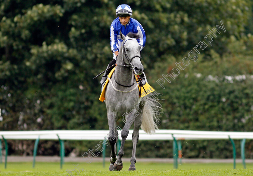 Art-Power-0001 
 ART POWER (Silvestre De Sousa)
Haydock 4 Sep 2021 - Pic Steven Cargill / Racingfotos.com