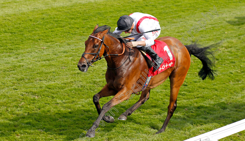 Hamish-0003 
 HAMISH (Tom Marquand) wins The tote.co.uk Proud To Support Chester Racecourse Ormonde Stakes
Chester 5 May 2022 - Pic Steven Cargill / Racingfotos.com