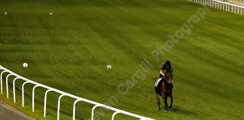 Sands-Of-Mali-0002 
 SANDS OF MALI training for the Al Quoz Sprint
Meydan 27 Mar 2019 - Pic Steven Cargill / Racingfotos.com