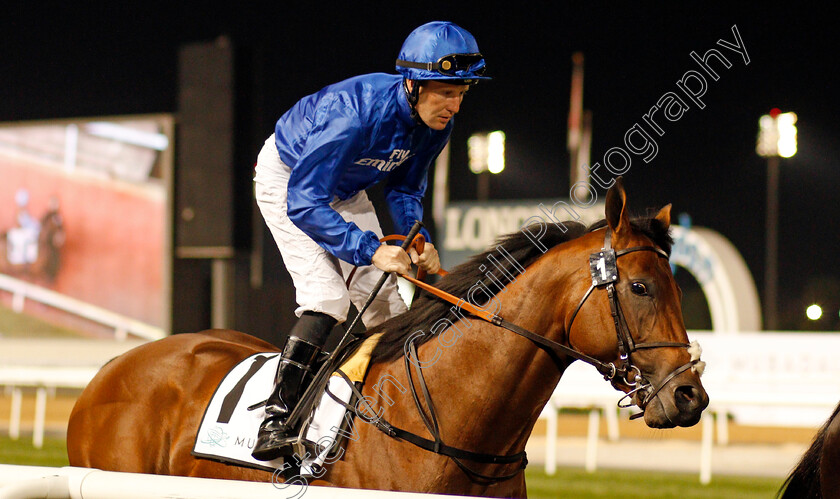 Dream-Castle-0001 
 DREAM CASTLE (Pat Cosgrave) Meydan 18 Jan 2018 - Pic Steven Cargill / Racingfotos.com