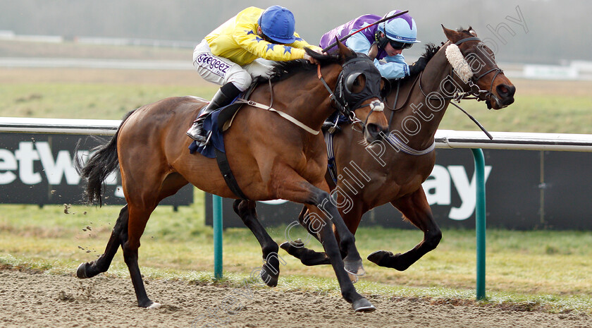 Collate-0005 
 COLLATE (left, David Probert) beats DIAMOND REFLECTION (right) in The Sun Racing Handicap
Lingfield 25 Jan 2019 - Pic Steven Cargill / Racingfotos.com