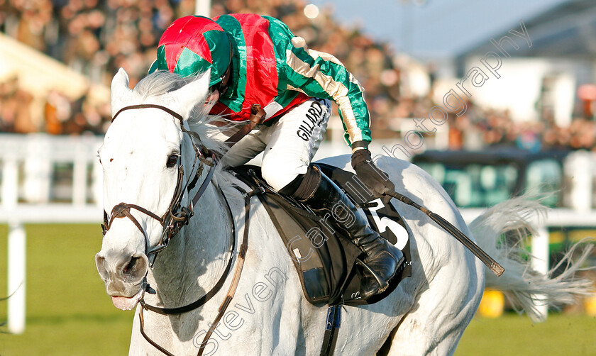 Warthog-0003 
 WARTHOG (David Noonan) wins The Caspian Caviar Gold Cup
Cheltenham 14 Dec 2019 - Pic Steven Cargill / Racingfotos.com