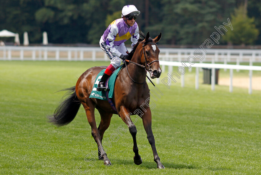 Lezoo-0001 
 LEZOO (Frankie Dettori) winner of The Princess Margaret Keeneland Stakes
Ascot 23 Jul 2022 - Pic Steven Cargill / Racingfotos.com