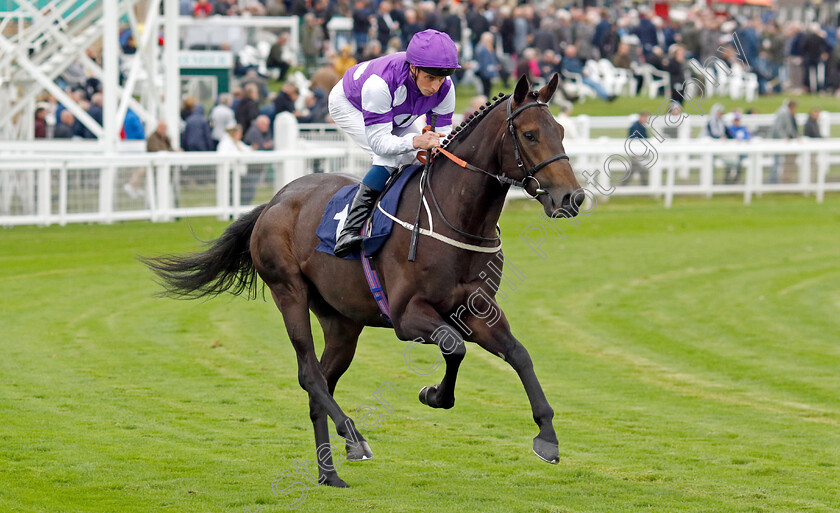 Masterly-0002 
 MASTERLY (William Buick)
Yarmouth 19 Sep 2023 - Pic Steven Cargill / Racingfotos.com