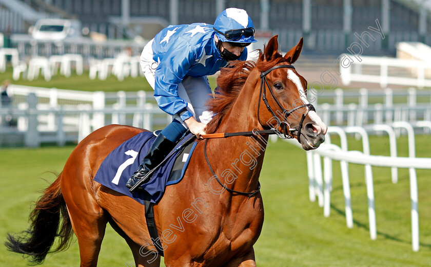 By-My-Side-0001 
 BY MY SIDE (Callum Shepherd)
Yarmouth 15 Sep 2020 - Pic Steven Cargill / Racingfotos.com