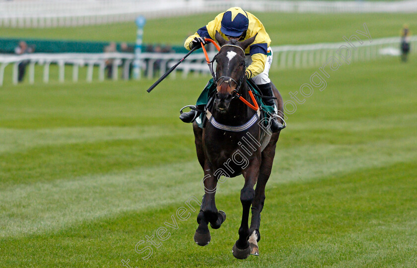 Excitable-Island-0004 
 EXCITABLE ISLAND (Gina Andrews) wins The Cheltenham Club Open Hunters Chase Cheltenham 4 May 2018 - Pic Steven Cargill / Racingfotos.com