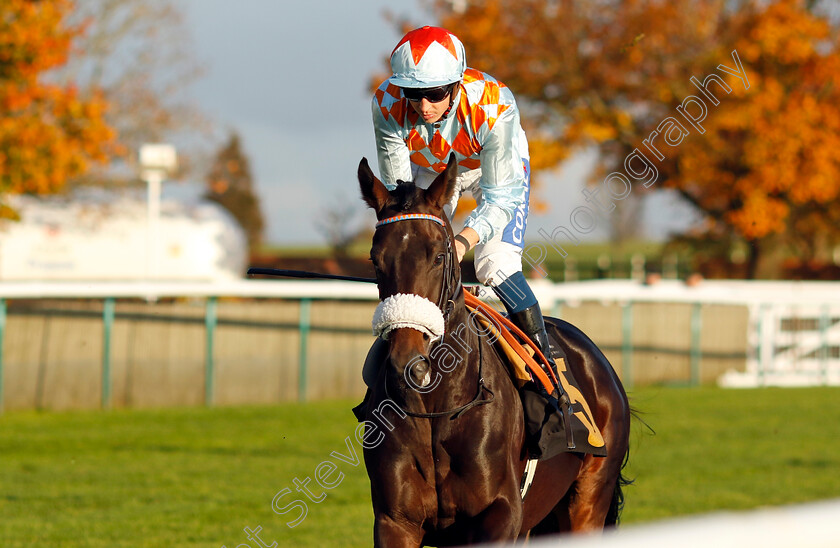 Our- Enery-0001 
 OUR 'ENERY (David Probert)
Newmarket 23 Oct 2024 - Pic Steven Cargill / Racingfotos.com