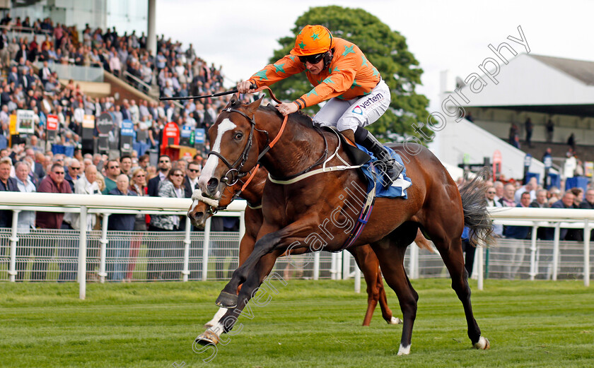 I-Am-A-Dreamer-0004 
 I AM A DREAMER (P J McDonald) wins The Stratford Place Stud Breeds Group Winners Ebfstallions.com Maiden Stakes York 17 May 2018 - Pic Steven Cargill / Racingfotos.com