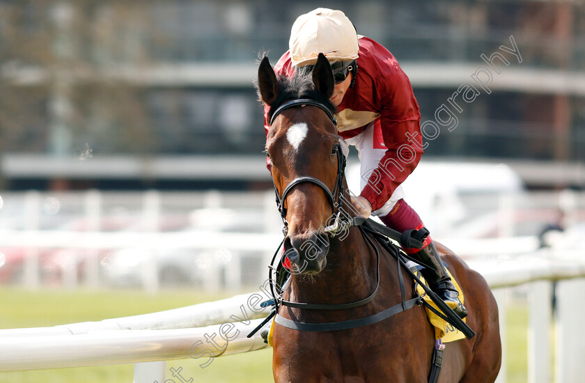 Muchly-0001 
 MUCHLY (Frankie Dettori)
Newbury 13 Apr 2019 - Pic Steven Cargill / Racingfotos.com