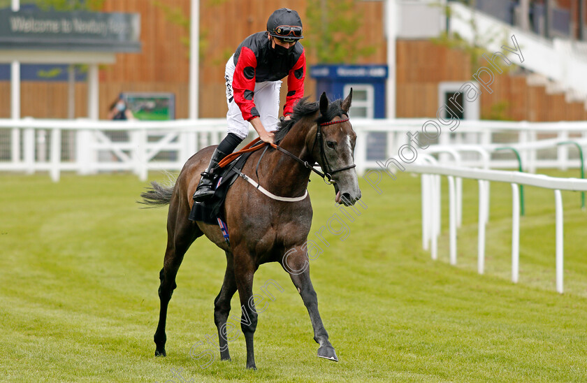 One-Journey-0001 
 ONE JOURNEY (Kieran Shoemark)
Newbury 10 Jun 2021 - Pic Steven Cargill / Racingfotos.com