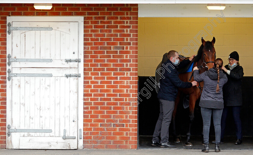 Cheshire-Plain-0002 
 CHESHIRE PLAIN is saddled before the first race
Chelmsford 4 Mar 2021 - Pic Steven Cargill / Racingfotos.com