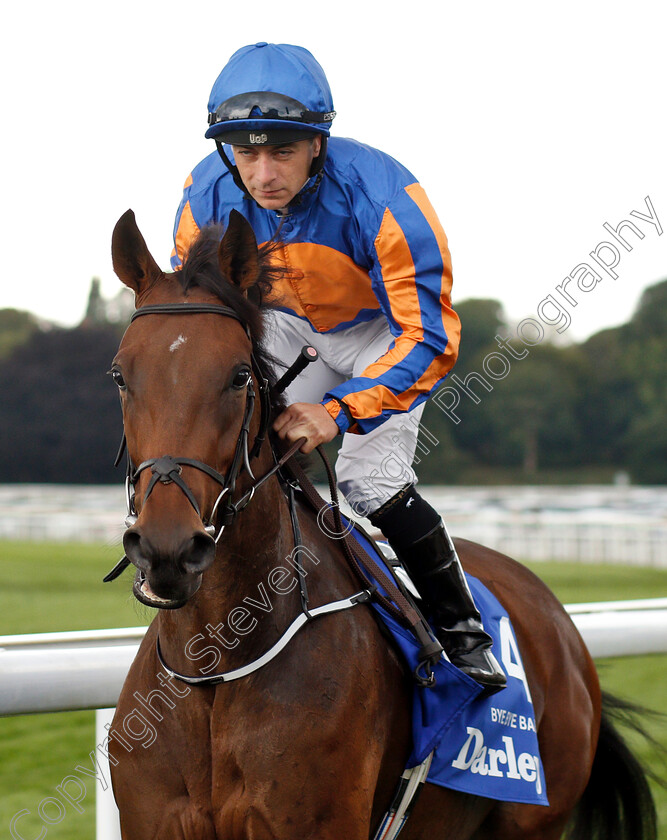 Bye-Bye-Baby-0002 
 BYE BYE BABY (Wayne Lordan)
York 23 Aug 2018 - Pic Steven Cargill / Racingfotos.com