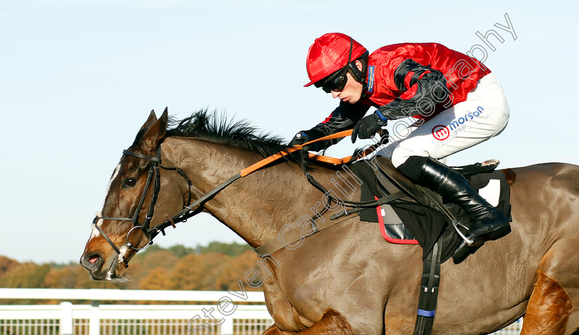 Farnoge-0003 
 FARNOGE (Harry Cobden) wins The Bet With Ascot Donation Box Scheme Novices Hurdle
Ascot 25 Nov 2023 - Pic Steven Cargill / Racingfotos.com