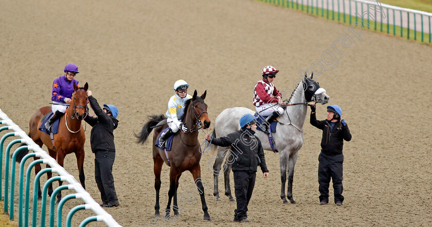 Lingfield-0001 
 Horses with stalls handlers at the start at Lingfield 13 Dec 2017 - Pic Steven Cargill / Racingfotos.com