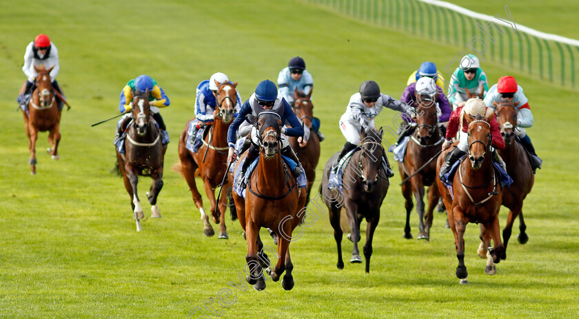 Commissioning-0009 
 COMMISSIONING (Robert Havlin) beats RAGE OF BAMBY (right) in The Al Basti Equiworld Dubai Rockfel Stakes
Newmarket 23 Sep 2022 - Pic Steven Cargill / Racingfotos.com