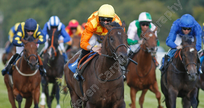 Tinker-Toy-0006 
 TINKER TOY (Jack Mitchell) wins The Every Race Live On Racing TV Novice Stakes Div1
Salisbury 11 Jul 2020 - Pic Steven Cargill / Racingfotos.com