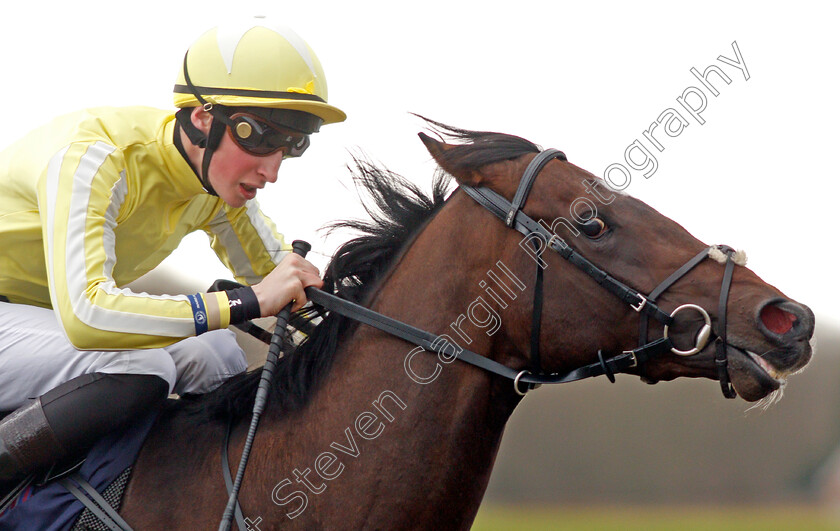 Base-Note-0007 
 BASE NOTE (Ross Coakley) wins The Play Coral Racing Super Series For Free Handicap
Lingfield 5 Feb 2022 - Pic Steven Cargill / Racingfotos.com