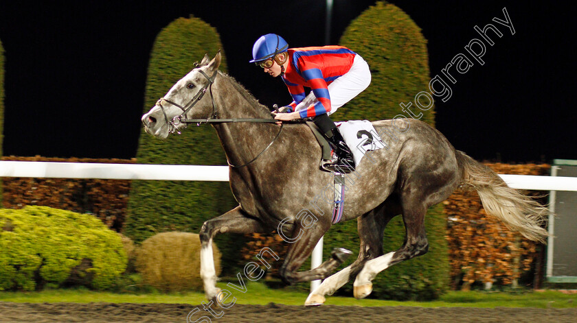 Arctic-Vega-0005 
 ARCTIC VEGA (Rob Hornby) wins The 32Red On The App Store Maiden Stakes Div1
Kempton 19 Feb 2020 - Pic Steven Cargill / Racingfotos.com