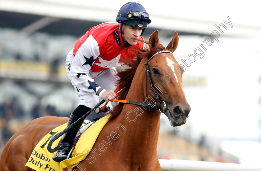 Proschema-0001 
 PROSCHEMA (Richard Kingscote)
Newbury 13 Apr 2019 - Pic Steven Cargill / Racingfotos.com