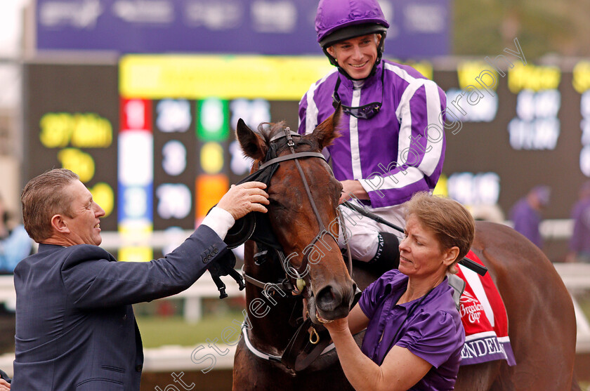 Mendelssohn-0012 
 MENDELSSOHN (Ryan Moore) after The Breeders' Cup Juvenile Turf, Del Mar USA 3 Nov 2017 - Pic Steven Cargill / Racingfotos.com