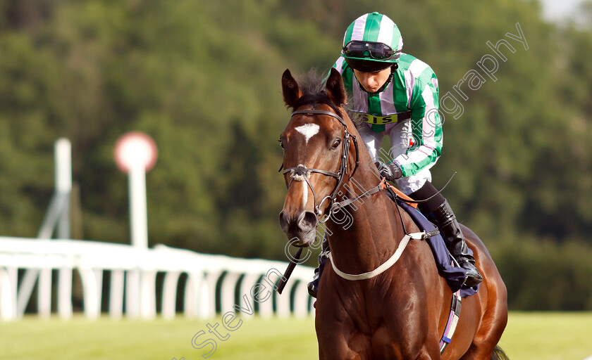 Overpriced-Mixer-0001 
 OVERPRICED MIXER (Nicola Currie) 
Chepstow 2 Jul 2019 - Pic Steven Cargill / Racingfotos.com