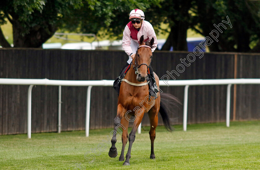 Moonlit-Cloud-0001 
 MOONLIT CLOUD (Jefferson Smith)
Newmarket 30 Jun 2023 - Pic Steven Cargill / Racingfotos.com