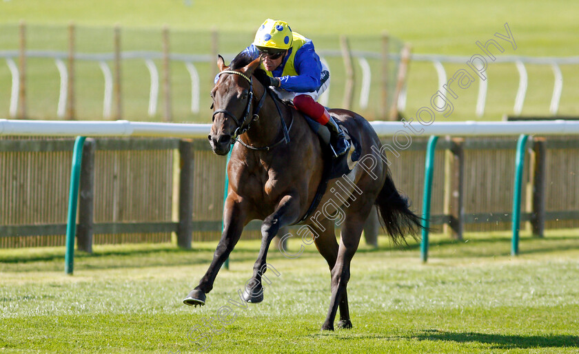 Spinaround-0004 
 SPINAROUND (Frankie Dettori) wins The Try Our New Super Boosts At Unibet British EBF Maiden Stakes
Newmarket 24 Sep 2021 - Pic Steven Cargill / Racingfotos.com