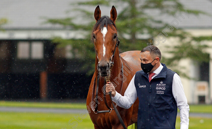 Japan-0002 
 JAPAN
Ascot 25 Jul 2020 - Pic Steven Cargill / Racingfotos.com