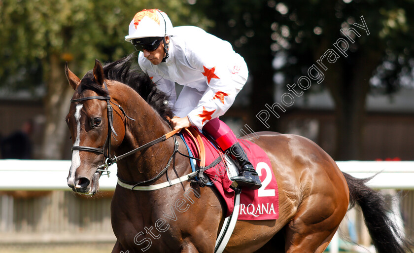 Advertise-0002 
 ADVERTISE (Frankie Dettori) before The Arqana July Stakes
Newmarket 12 Jul 2018 - Pic Steven Cargill / Racingfotos.com