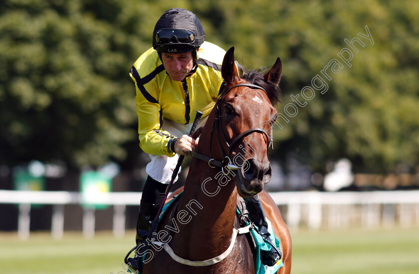 The-Night-Porter-0001 
 THE NIGHT PORTER (John Egan)
Newmarket 13 Jul 2018 - Pic Steven Cargill / Racingfotos.com