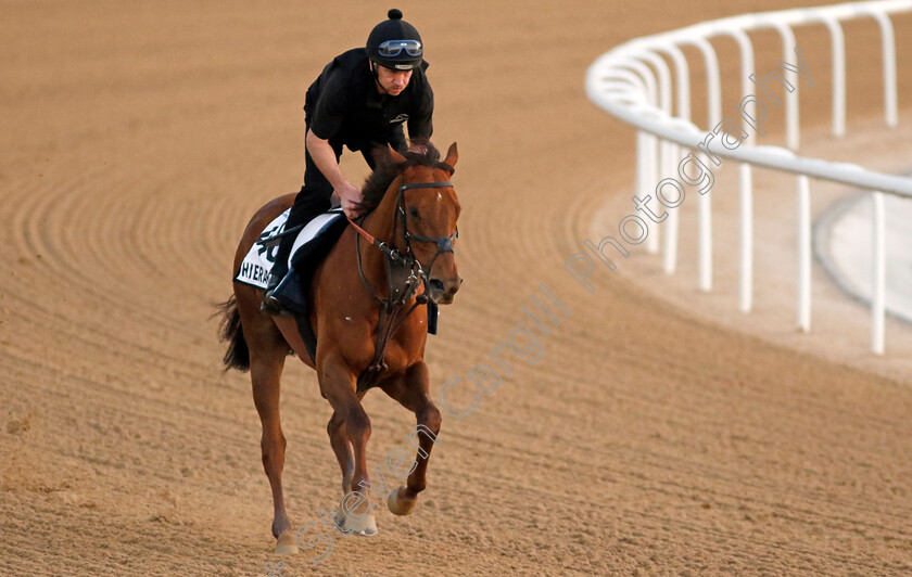 Hierarchy-0001 
 HIERARCHY training at the Dubai World Cup Carnival
Meydan 5 Jan 2023 - Pic Steven Cargill / Racingfotos.com