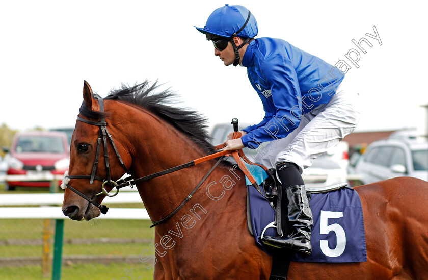 Imperial-Past-0002 
 IMPERIAL PAST (Colm O'Donoghue) winner of The Hobgoblin Legendary Ruby Ale EBF Maiden Stakes Div1 Yarmouth 20 Sep 2017 - Pic Steven Cargill / Racingfotos.com