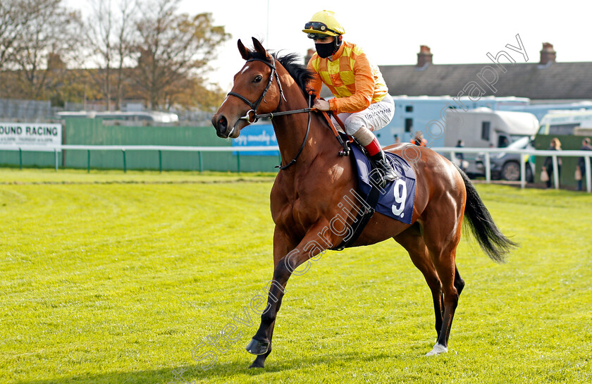 Kindred-Spirit-0001 
 KINDRED SPIRIT (Andrea Atzeni) before winning The British European Breeders Fund Fillies Novice Stakes
Yarmouth 20 Oct 2020 - Pic Steven Cargill / Racingfotos.com