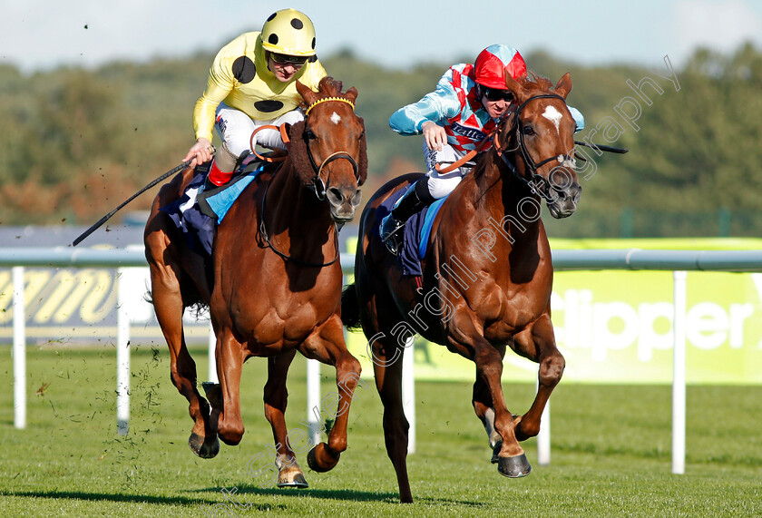 Mount-Logan-0004 
 MOUNT LOGAN (left, Andrea Atzeni) beats RED VERDON (right) in The Sports ID Strength In Sport Stakes Doncaster 13 Sep 2017 - pic Steven Cargill / Racingfotos.com