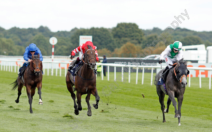 Desert-Angel-0001 
 DESERT ANGEL (right, Hollie Doyle) beats LA PULGA (left) in The Vertem Nursery
Doncaster 11 Sep 2021 - Pic Steven Cargill / Racingfotos.com