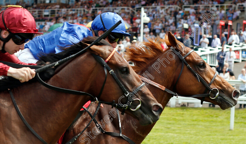 Laser-Show-0005 
 LASER SHOW (Tom Queally) beats RIOT (left) in The Irish Stallion Farms EBF Novice Stakes
Sandown 5 Jul 2019 - Pic Steven Cargill / Racingfotos.com