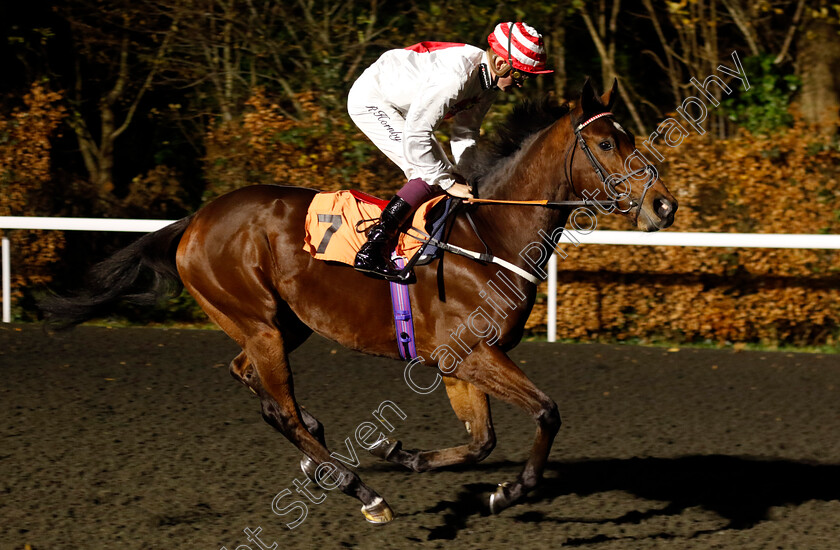 Kurakka-0001 
 KURAKKA (Rob Hornby)
Kempton 4 Dec 2024 - Pic Steven Cargill / Racingfotos.com