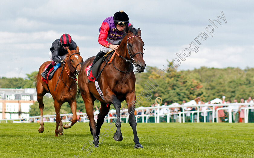 Wink-Of-An-Eye-0002 
 WINK OF AN EYE (Tom Marquand) wins The Coral Backing Prostate Cancer UK Handicap
Sandown 3 Jul 2021 - Pic Steven Cargill / Racingfotos.com