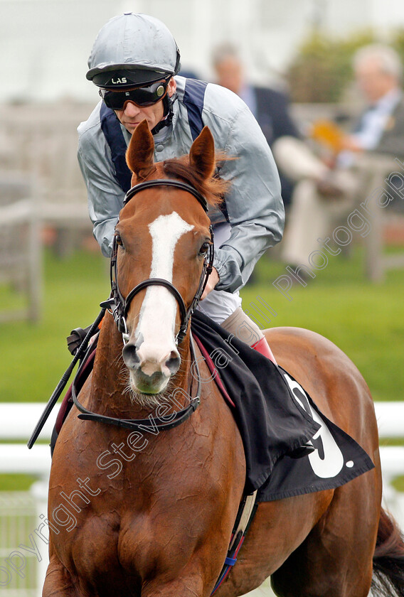 Lunar-Jet-0001 
 LUNAR JET (Jimmy Quinn) winner of The Fuller Smith and Turner PLC Handicap Goodwood 27 Sep 2017 - Pic Steven Cargill / Racingfotos.com