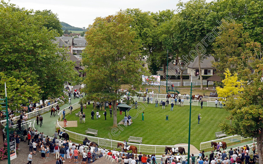 Deauville-0002 
 the paddock at Deauville
Deauville 3 Aug 2024 - Pic Steven Cargill / Racingfotos.com