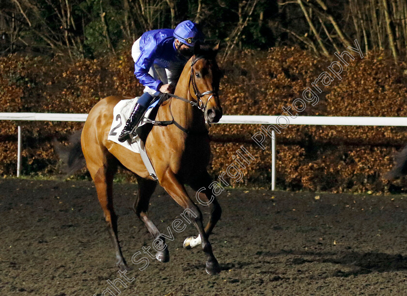 Daring-Flight-0001 
 DARING FLIGHT (William Buick)
Kempton 11 Dec 2024 - Pic Steven Cargill / Racingfotos.com