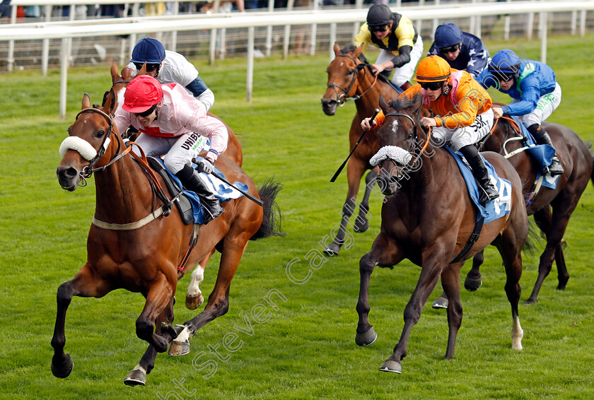 Arcadian-Sunrise-0002 
 ARCADIAN SUNRISE (Jamie Spencer) beats RAJINSKY (right) in The Sky Bet Handicap 
York 18 Aug 2021 - Pic Steven Cargill / Racingfotos.com