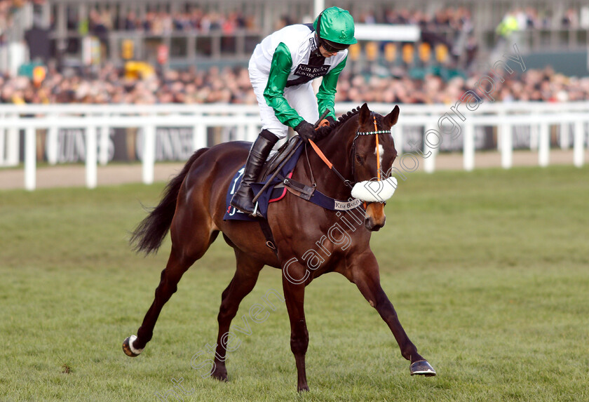 Vinndication-0001 
 VINNDICATION (David Bass)
Cheltenham 14 Mar 2019 - Pic Steven Cargill / Racingfotos.com