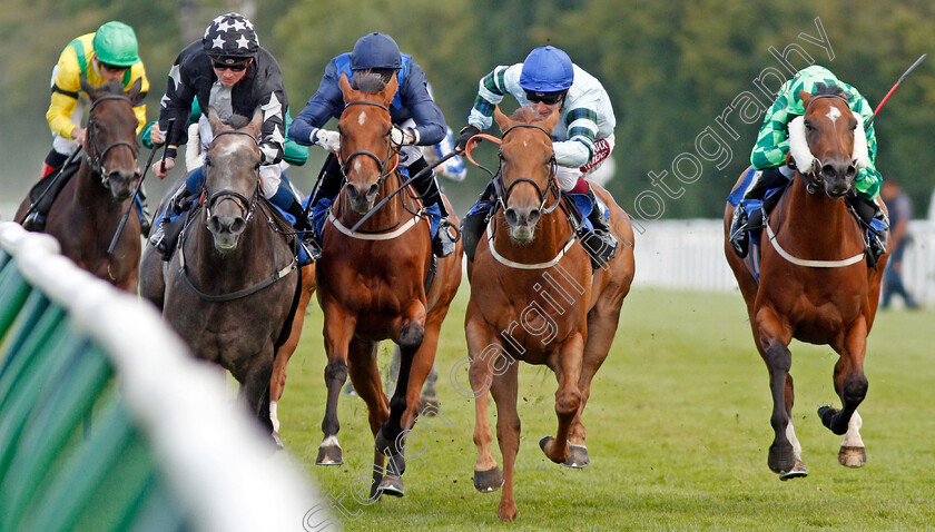 Belated-Breath-0002 
 BELATED BREATH (2nd right, Oisin Murphy) beats BETSEY TROTTER (right) LADY DANCEALOT (2nd left) and GOODNIGHT GIRL (left) in The European Bloodstock News EBF Lochsong Fillies Handicap
Salisbury 5 Sep 2019 - Pic Steven Cargill / Racingfotos.com