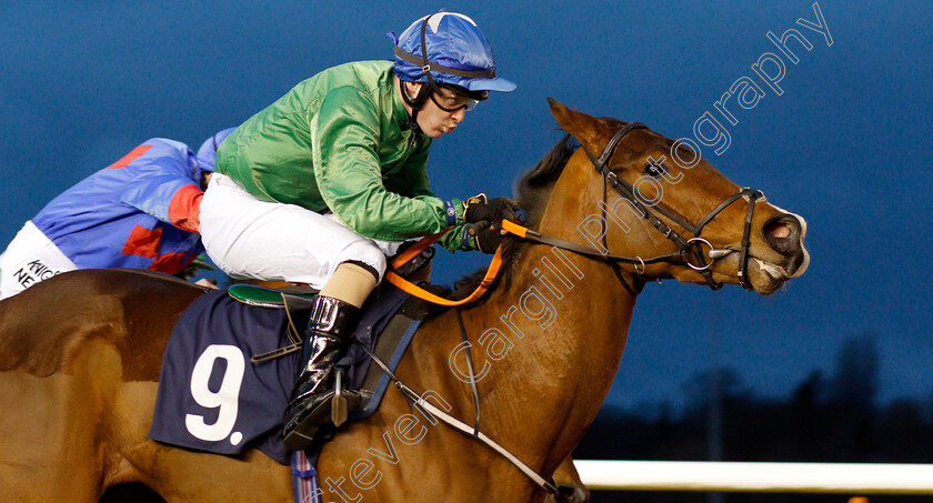 Taceec-0003 
 TACEEC (Conor McGovern) wins The Like Sun Racing On Facebook Apprentice Handicap 
Wolverhampton 7 Jan 2019 - Pic Steven Cargill / Racingfotos.com