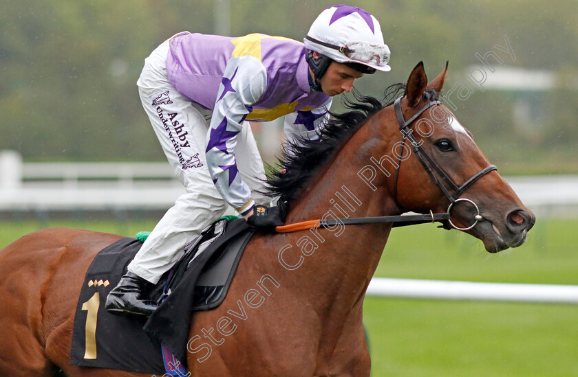 Going-The-Distance-0005 
 GOING THE DISTANCE (Rossa Ryan) winner of The British EBF Future Stayers Oath Novice Stakes
Nottingham 11 Oct 2023 - Pic Steven Cargill / Racingfotos.com