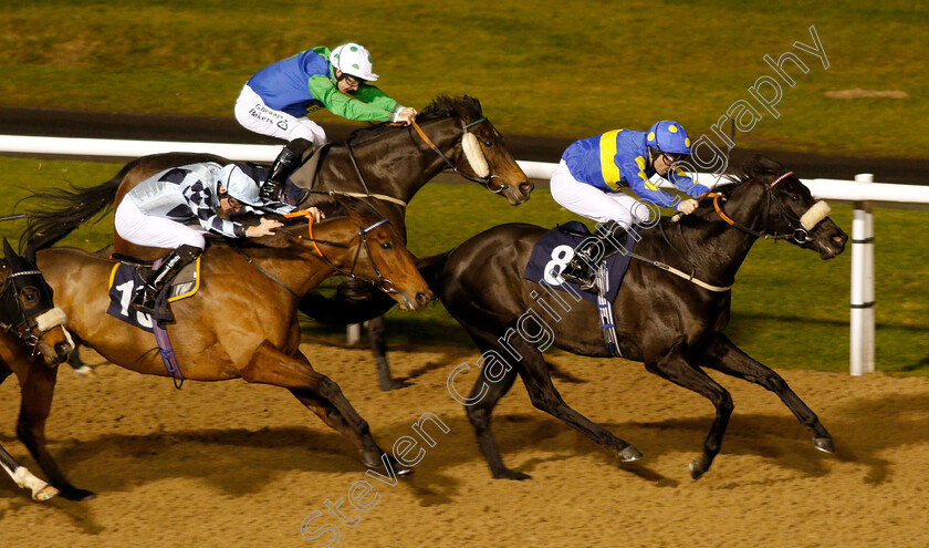 Jorvik-Prince-0002 
 JORVIK PRINCE (Tony Hamilton) beats ROYAL MEZYAN (left) in The Betway Sprint Handicap
Wolverhampton 28 Nov 2018 - Pic Steven Cargill / Racingfotos.com