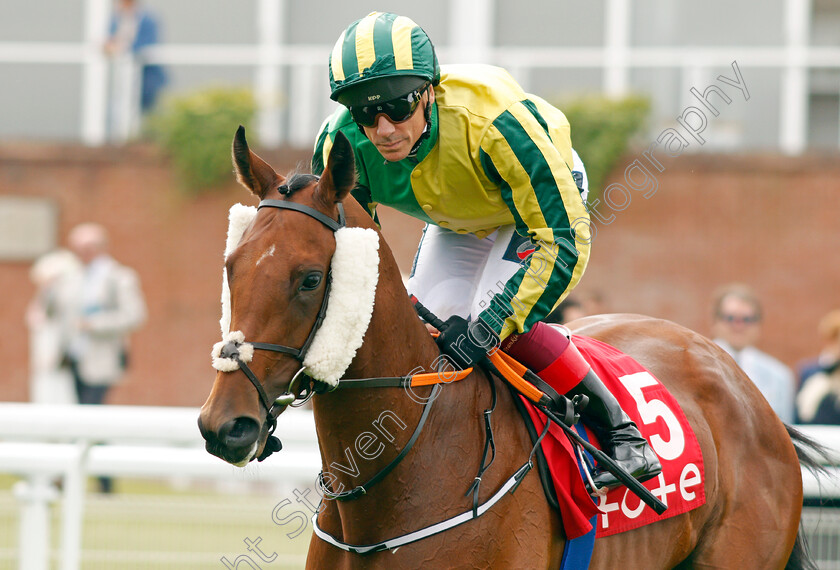 White-Pepper-0002 
 WHITE PEPPER (Frankie Dettori)
Goodwood 28 Aug 2021 - Pic Steven Cargill / Racingfotos.com