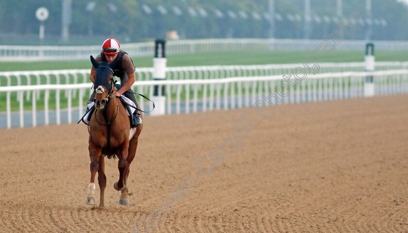 Ladies-Church-0002 
 LADIES CHURCH training at the Dubai Racing Carnival 
Meydan 4 Jan 2024 - Pic Steven Cargill / Racingfotos.com