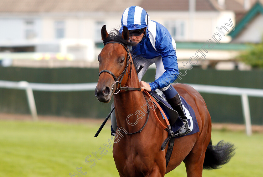 Motalaqqy-0002 
 MOTALAQQY (Jim Crowley)
Yarmouth 18 Jul 2018 - Pic Steven Cargill / Racingfotos.com